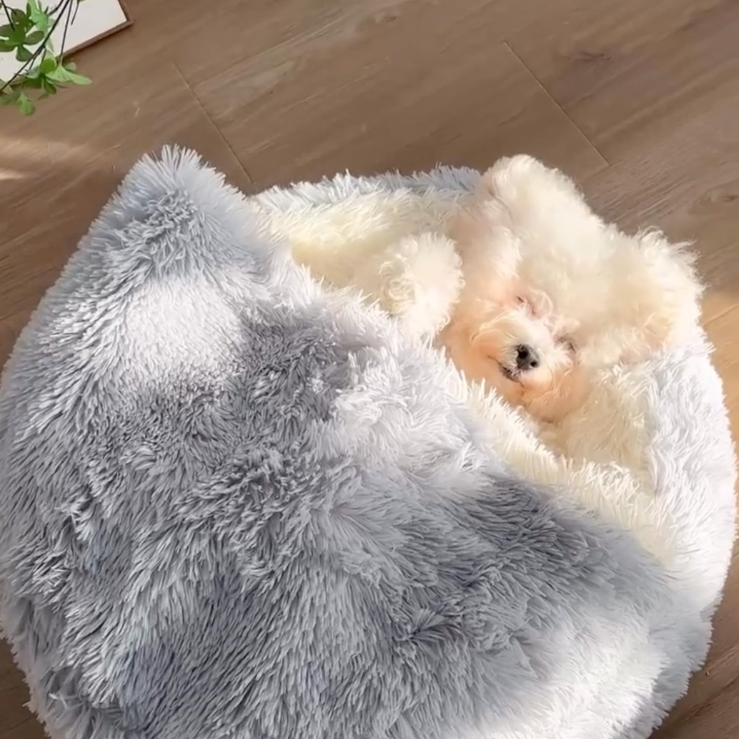 HushNest™ - Cozy Cocoon Pet Bed